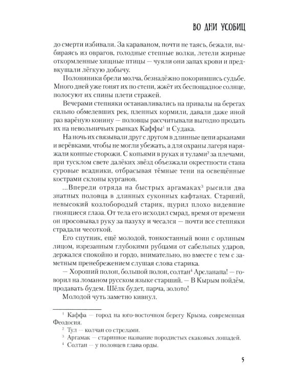 Во дни усобиц: роман