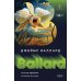 Дополнительное изображение книги «Голоса времени»
