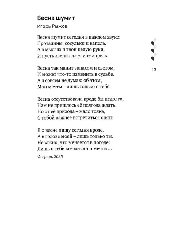 Дополнительное изображение книги «Неслучайный диалог: сборник стихотворений»