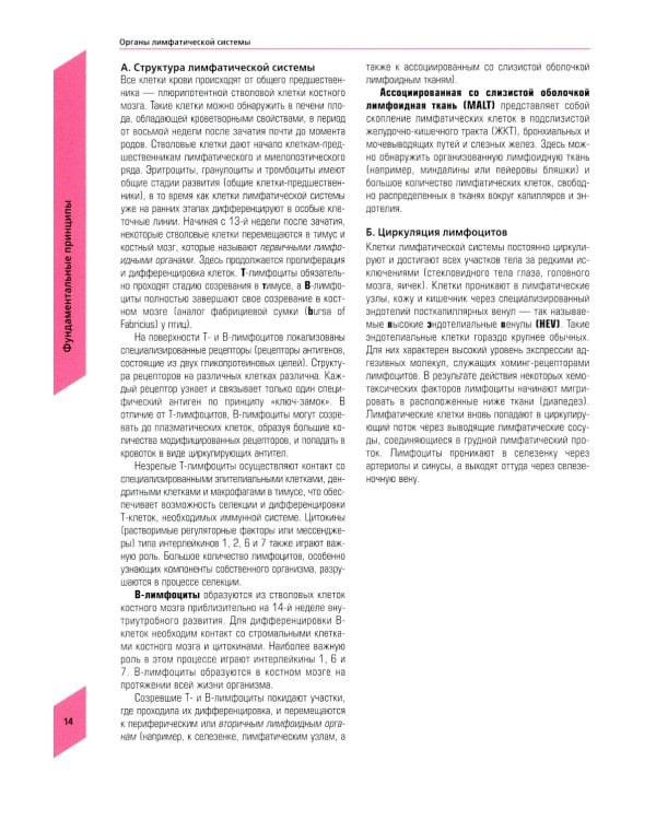 Наглядная иммунология. 8-е изд