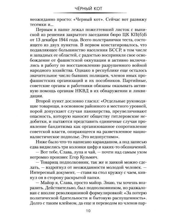 Дополнительное изображение книги «Черный кот: роман»