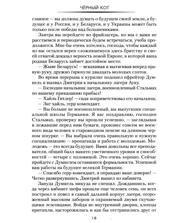 Дополнительное изображение книги «Черный кот: роман»
