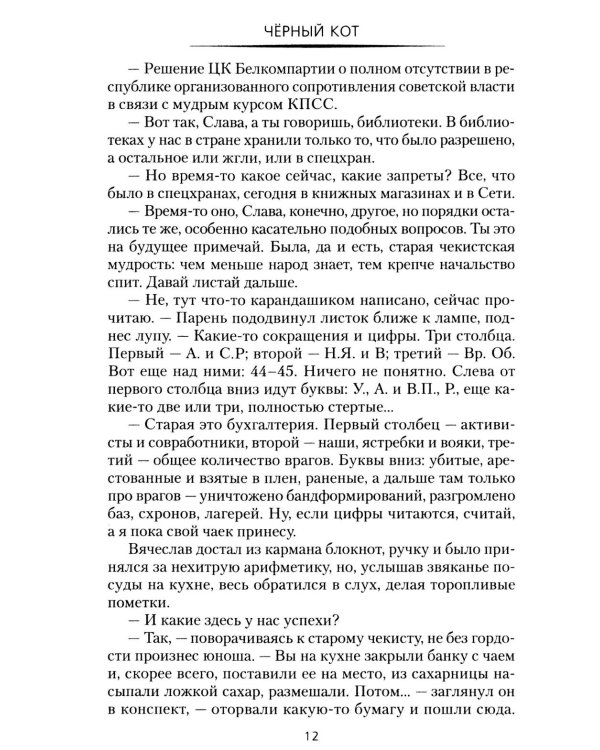 Дополнительное изображение книги «Черный кот: роман»