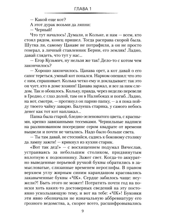 Дополнительное изображение книги «Черный кот: роман»
