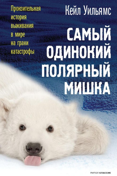 True story Самый одинокий полярный мишка