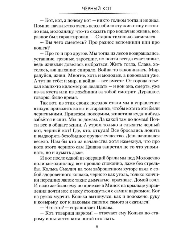 Дополнительное изображение книги «Черный кот: роман»
