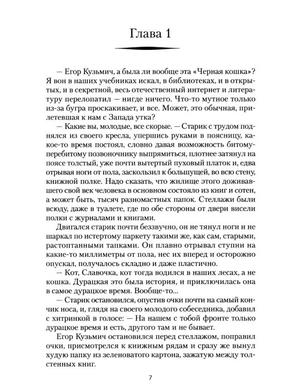 Дополнительное изображение книги «Черный кот: роман»