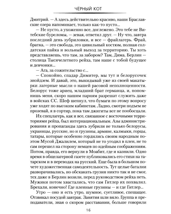 Дополнительное изображение книги «Черный кот: роман»