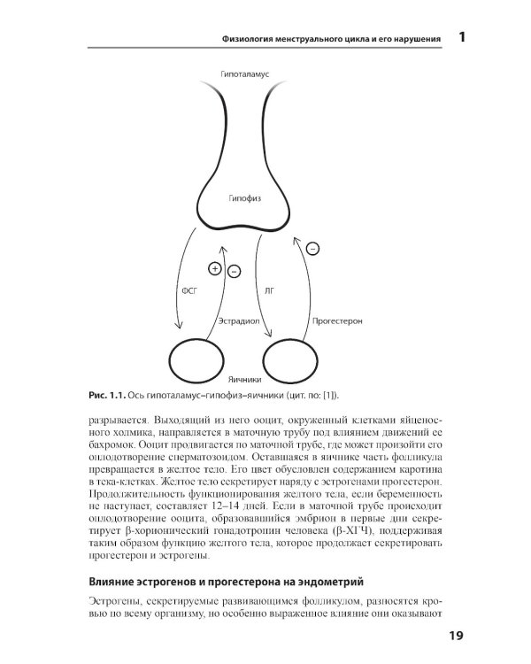 Женское здоровье. Руководство для врачей первичного звена. 2-е изд