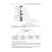 Психосоматика. 9-е изд., перераб.и доп Психосоматика. 9-е изд., перераб.и доп