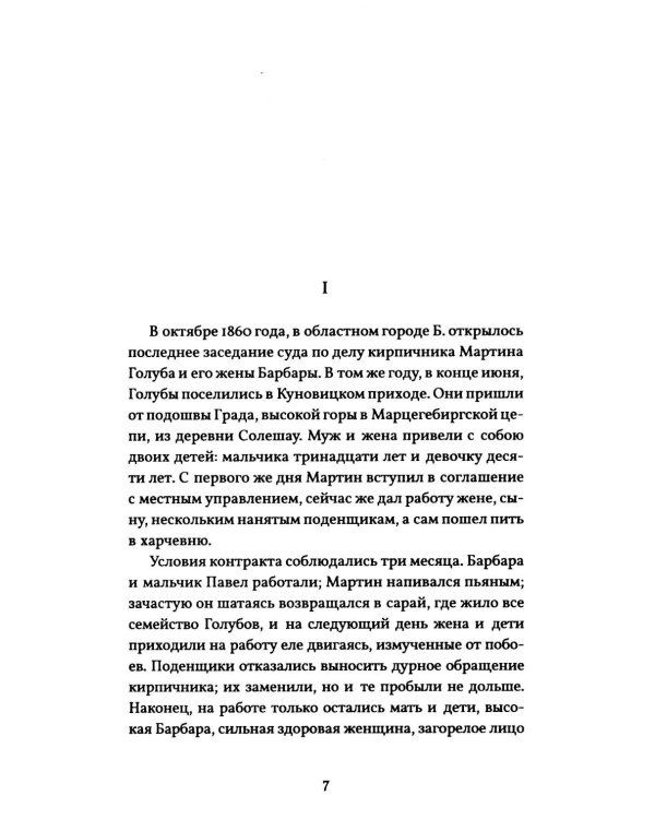 Дополнительное изображение книги «Питомец общины»