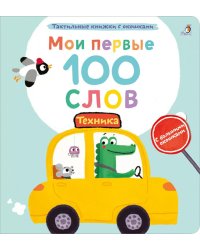Мои первые 100 слов с большими окошками. Техника