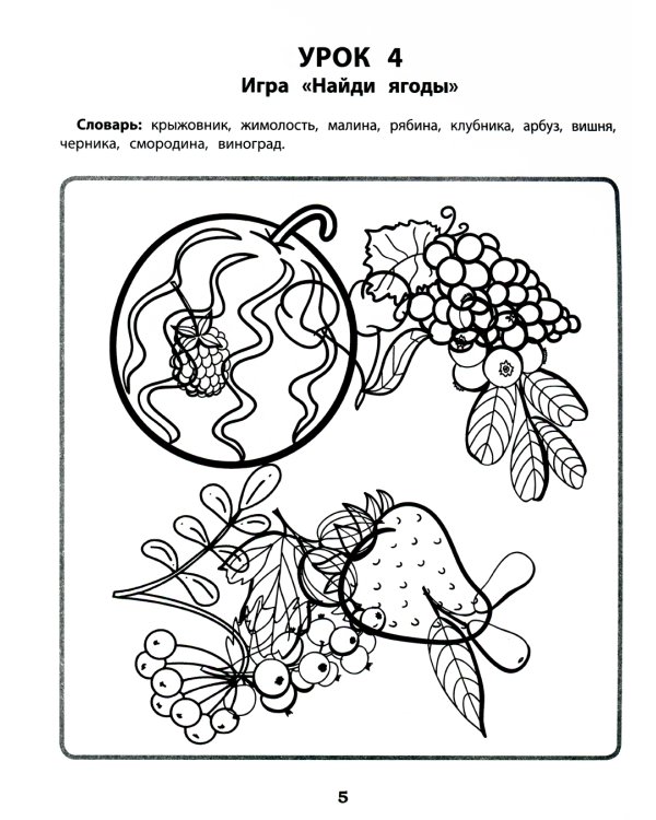 Запутанные картинки. Коррекция оптической дисграфии: рабочая нейротетрадь для дошкольников. 5-е изд
