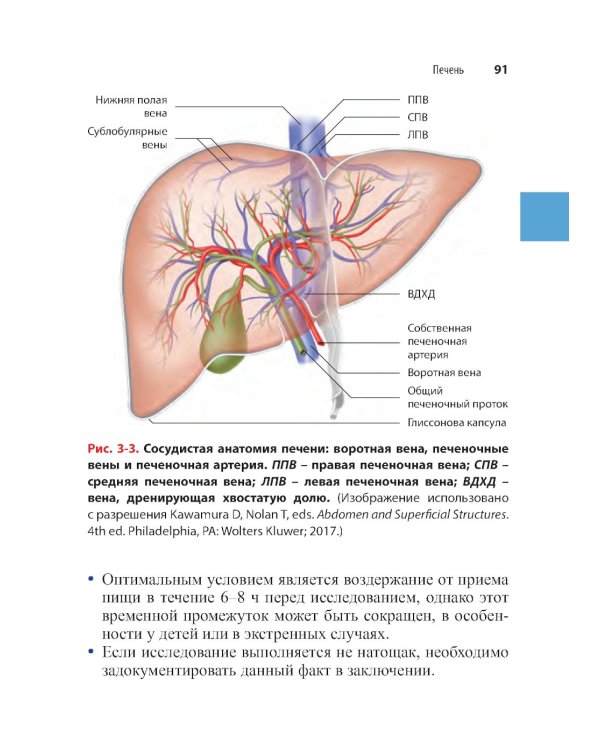 Справочник по УЗИ органов брюшной полости. 2-е изд