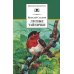 Лесные тайнички: рассказы и сказки