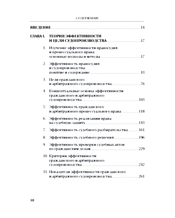 Эффективность гражданского и арбитражного судопроизводства: монография