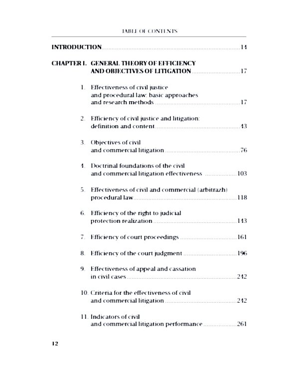 Эффективность гражданского и арбитражного судопроизводства: монография