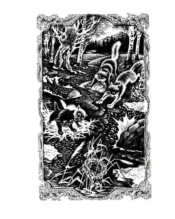 Коты-воители. Лес секретов