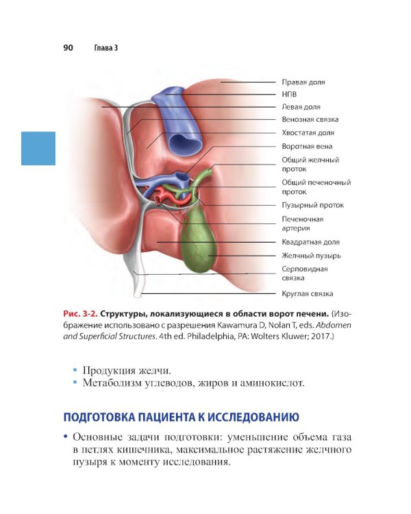 Справочник по УЗИ органов брюшной полости. 2-е изд