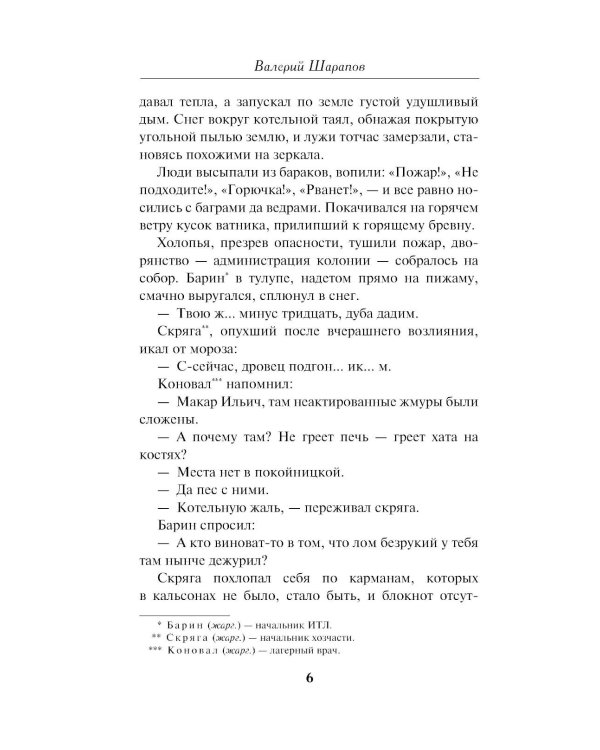 Гром над пионерским лагерем