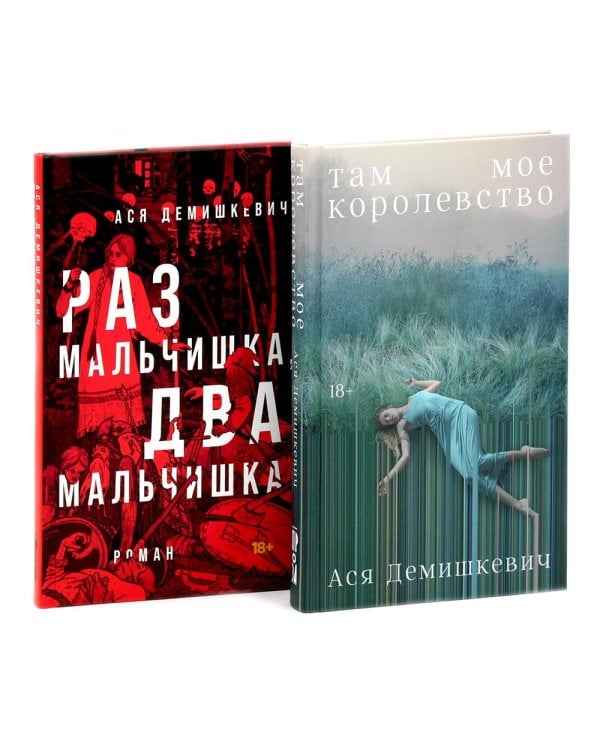 Там мое королевство; Раз мальчишка, два мальчишка (комплект из 2-х книг)