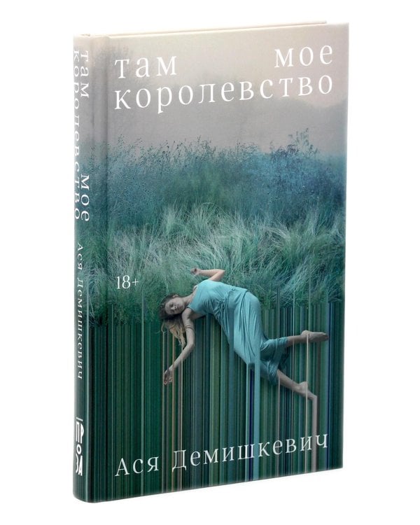 Там мое королевство; Раз мальчишка, два мальчишка (комплект из 2-х книг)