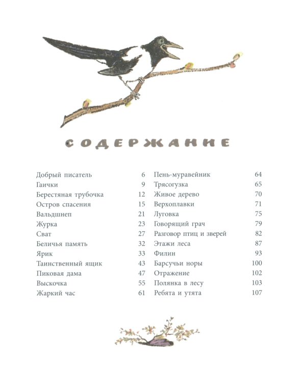Берестяная трубочка: рассказы