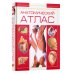 Анатомический атлас