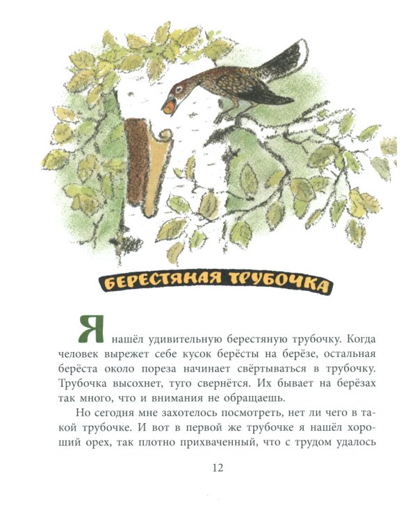 Берестяная трубочка: рассказы