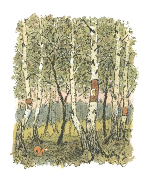 Берестяная трубочка: рассказы