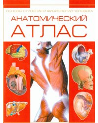 Анатомический атлас