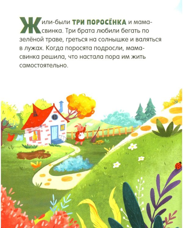 Дополнительное изображение книги «Сундучок любимых сказок (комплект из 5 кн.)»