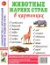 Животные жарких стран в картинках. Наглядное пособие для педагогов, логопедов, воспитателей и родителей