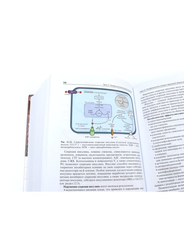 Патофизиология: Учебник. В 2 т. Т. 1. 5-е изд., перераб. и доп