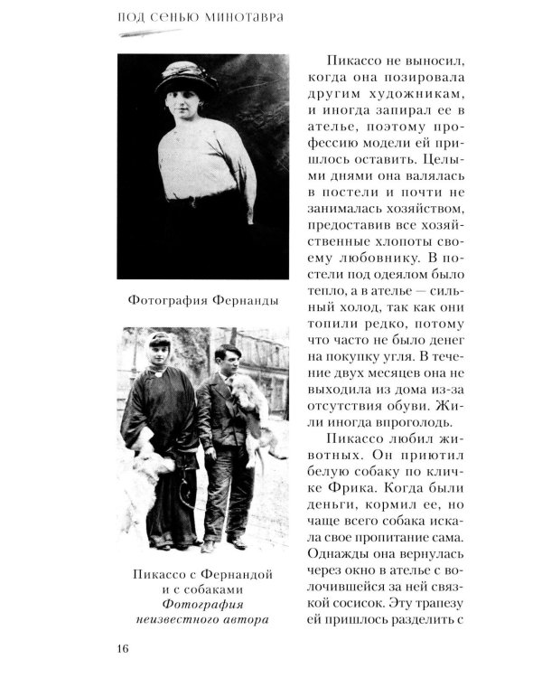 Дополнительное изображение книги «Под сенью Минотавра»