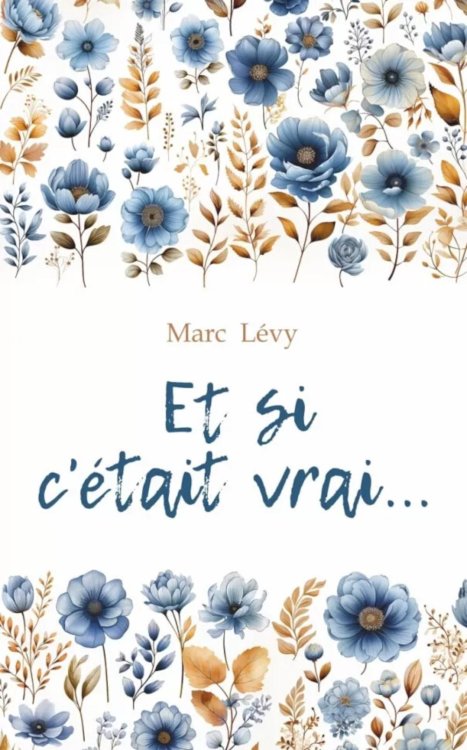 Histoire d'amur Между небом и землей: на франц.яз