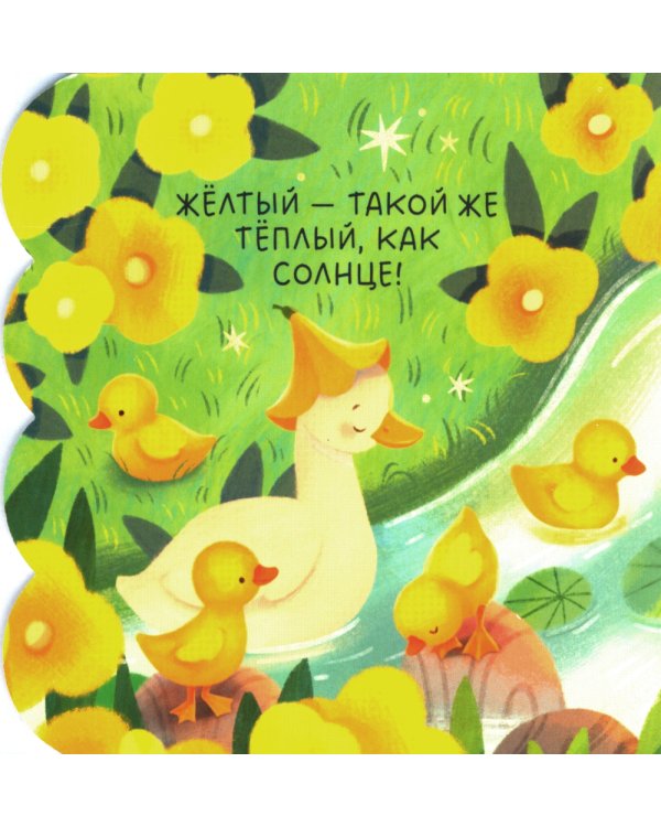 Книжка с окошками. Цвета