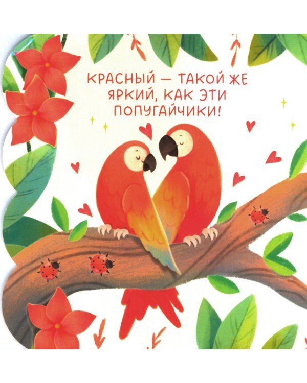 Книжка с окошками. Цвета