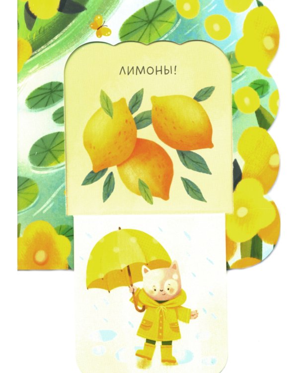 Книжка с окошками. Цвета