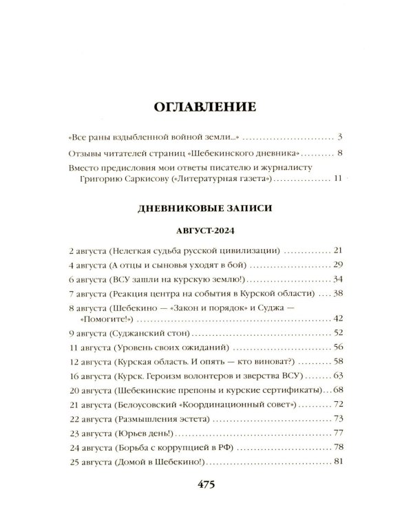 Шебекинский дневник-2. Я вам расскажу о Шебекино смелом