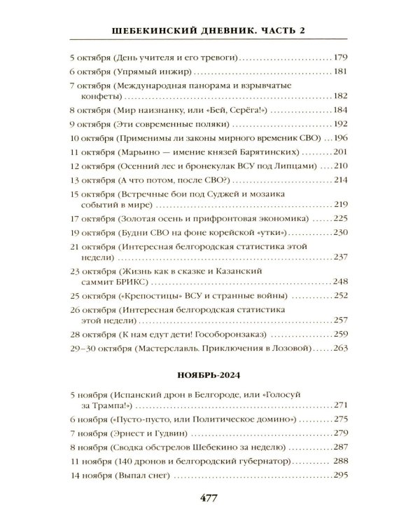 Шебекинский дневник-2. Я вам расскажу о Шебекино смелом