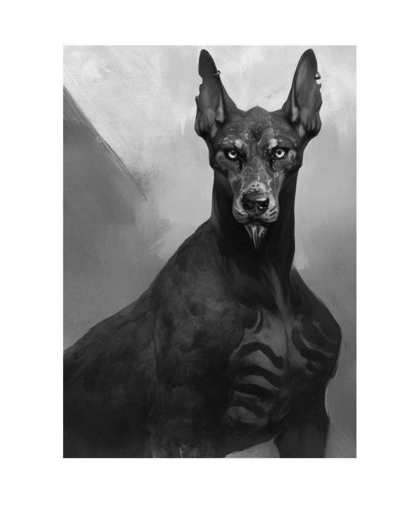 Избранный (с автографом)