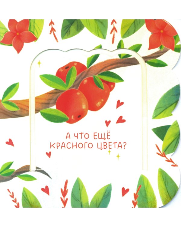 Книжка с окошками. Цвета