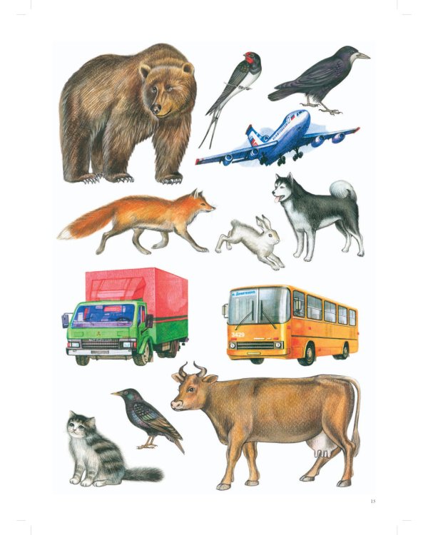 Речевая карта ребенка с ОНР от 4 до 7 + Картинный материал (комплект из 2-х книг)