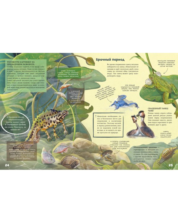 Секреты животных озера. Визуальная энциклопедия