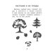 Прятки с природой: готовимся к школе