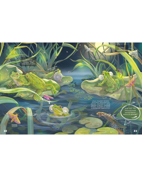 Секреты животных озера. Визуальная энциклопедия