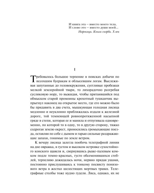 Дополнительное изображение книги «И дольше века длится день...»