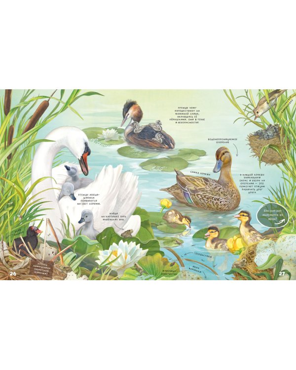 Секреты животных озера. Визуальная энциклопедия