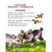 Дополнительное изображение книги «Песенки для самых маленьких»